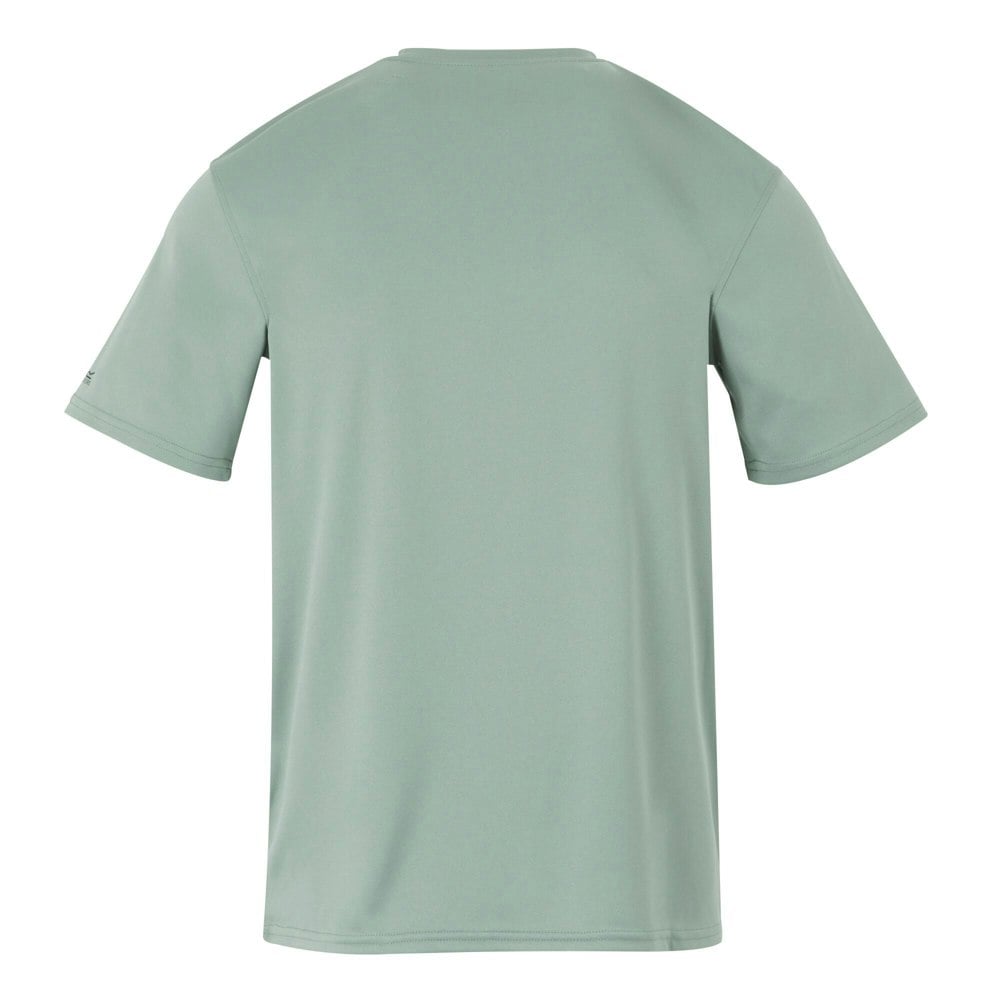 Regatta Mens Fingal IX Mountain T-Shirt - Glacier