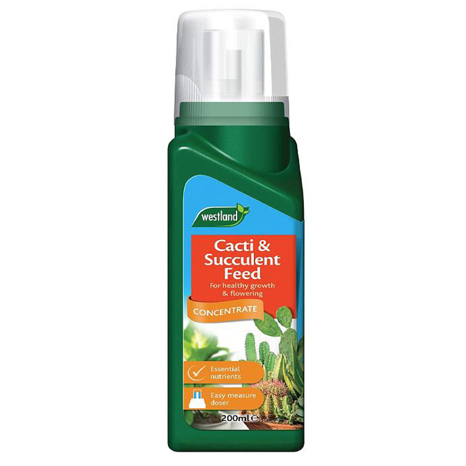 Cacti & Succulent Food 200ml Westland Concentrate Feed