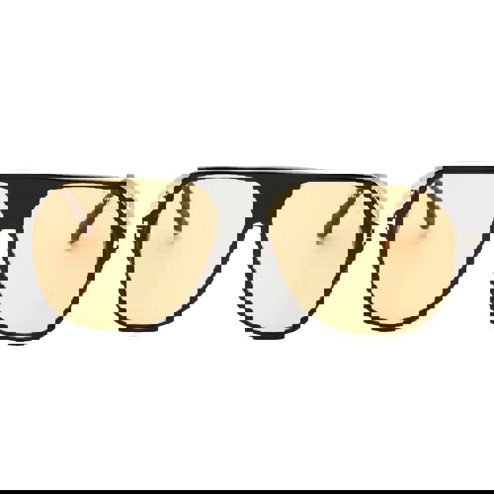Tom Ford Hayes Brown Lens Shiny Black Sunglasses
