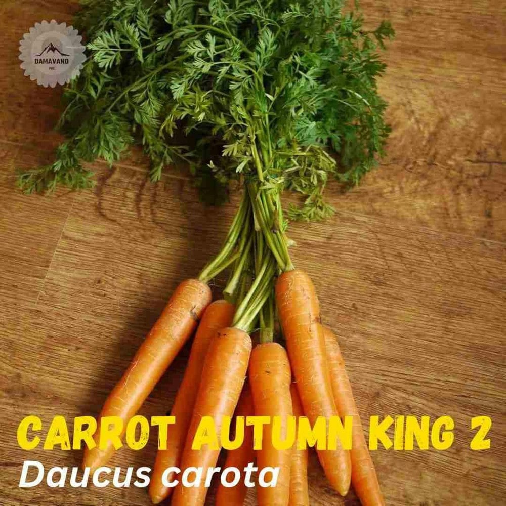 a bunch of carrots on a wood surface - Carrot Autumn King 2 Seeds