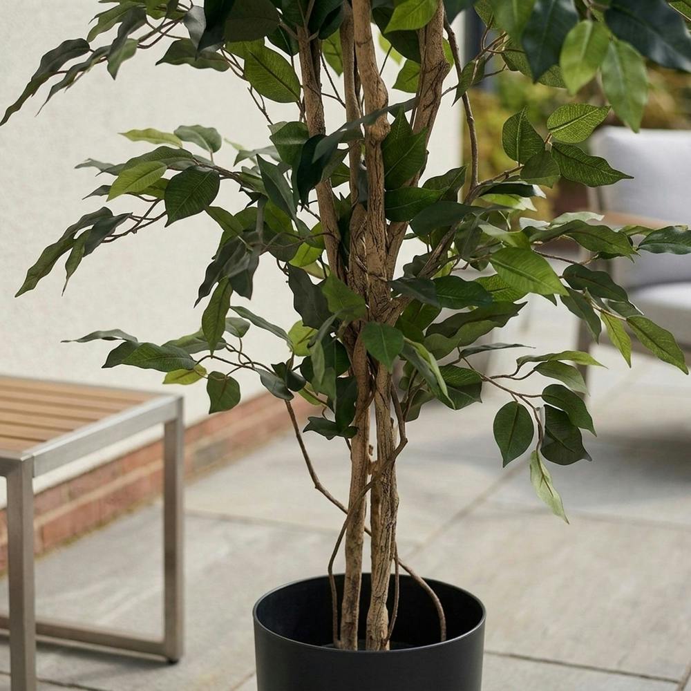 Garden Greatness Lifelike Green Fiscus Potted Tree