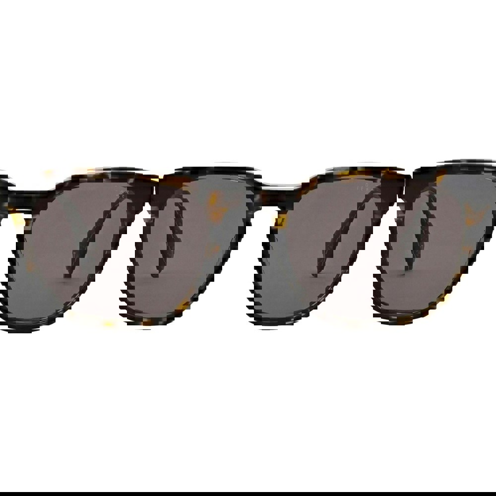 Ted Baker Sorley Men's Sunglasses