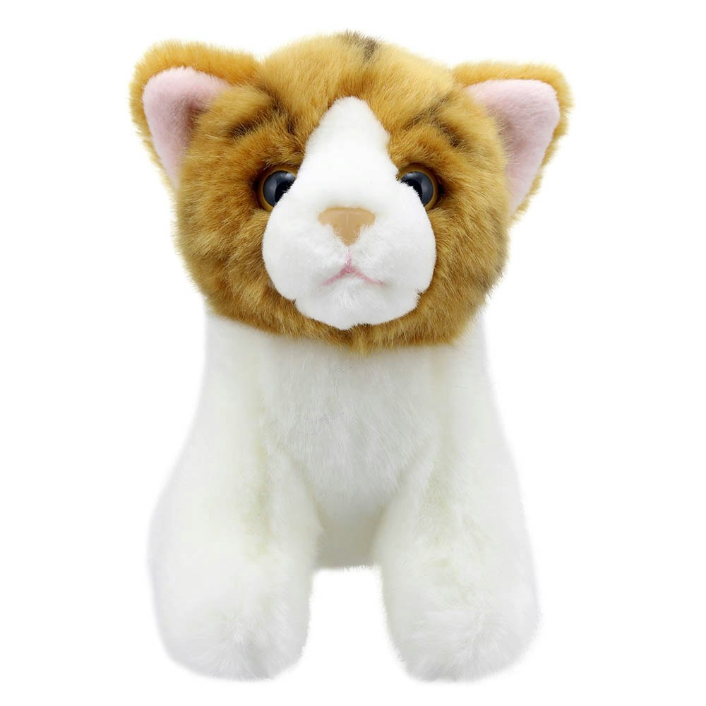 Wilberry Cat (Gold Stripe) - Wilberry Minis