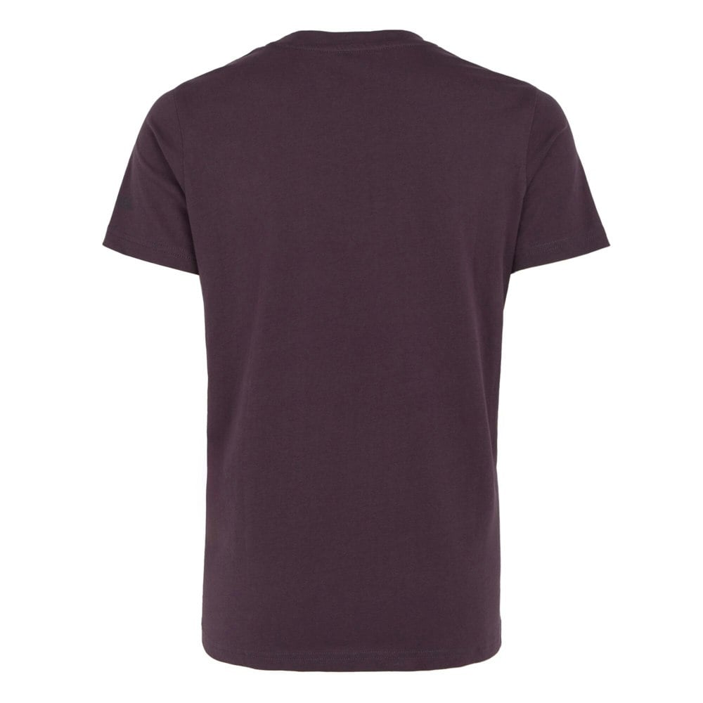 Regatta Women's Filandra IX Look At The Stars T-Shirt - Deep Plum