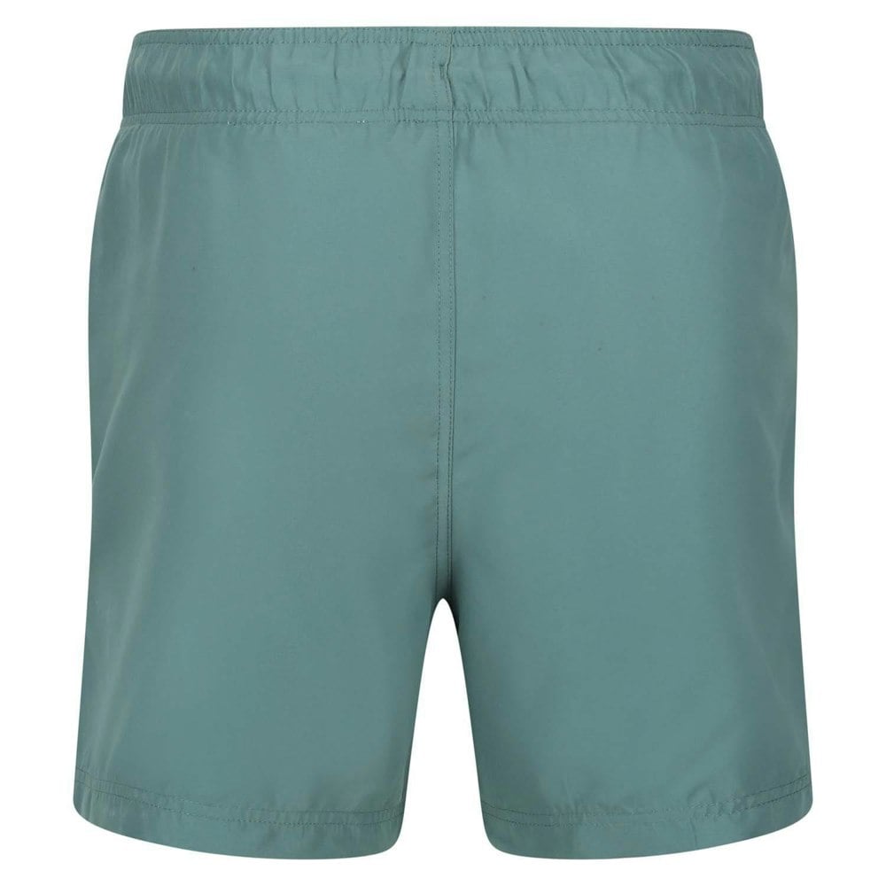 Regatta Mens Mawson III Swim Shorts - Teal