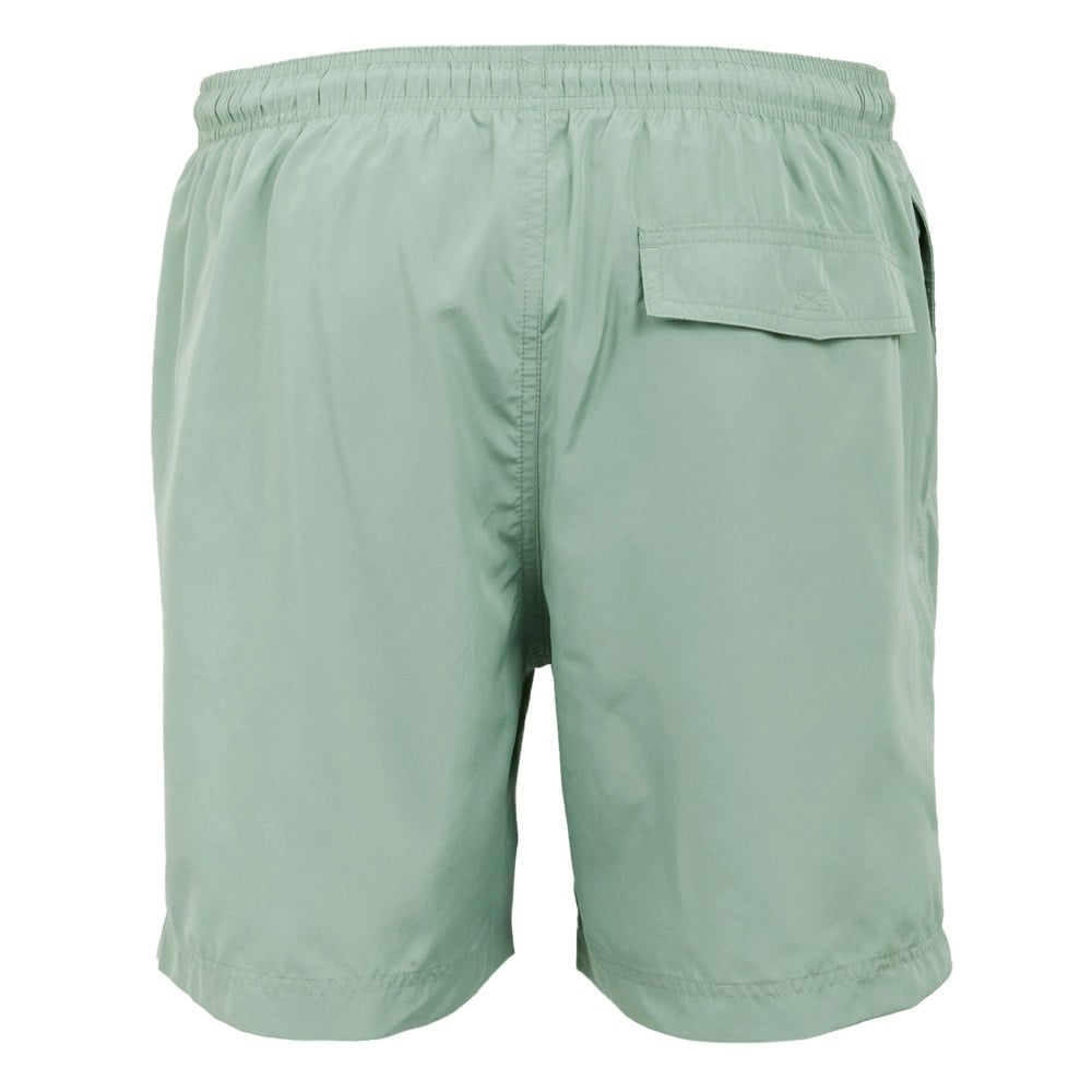 Regatta Mens Mackleyna Swim Shorts - Glacier