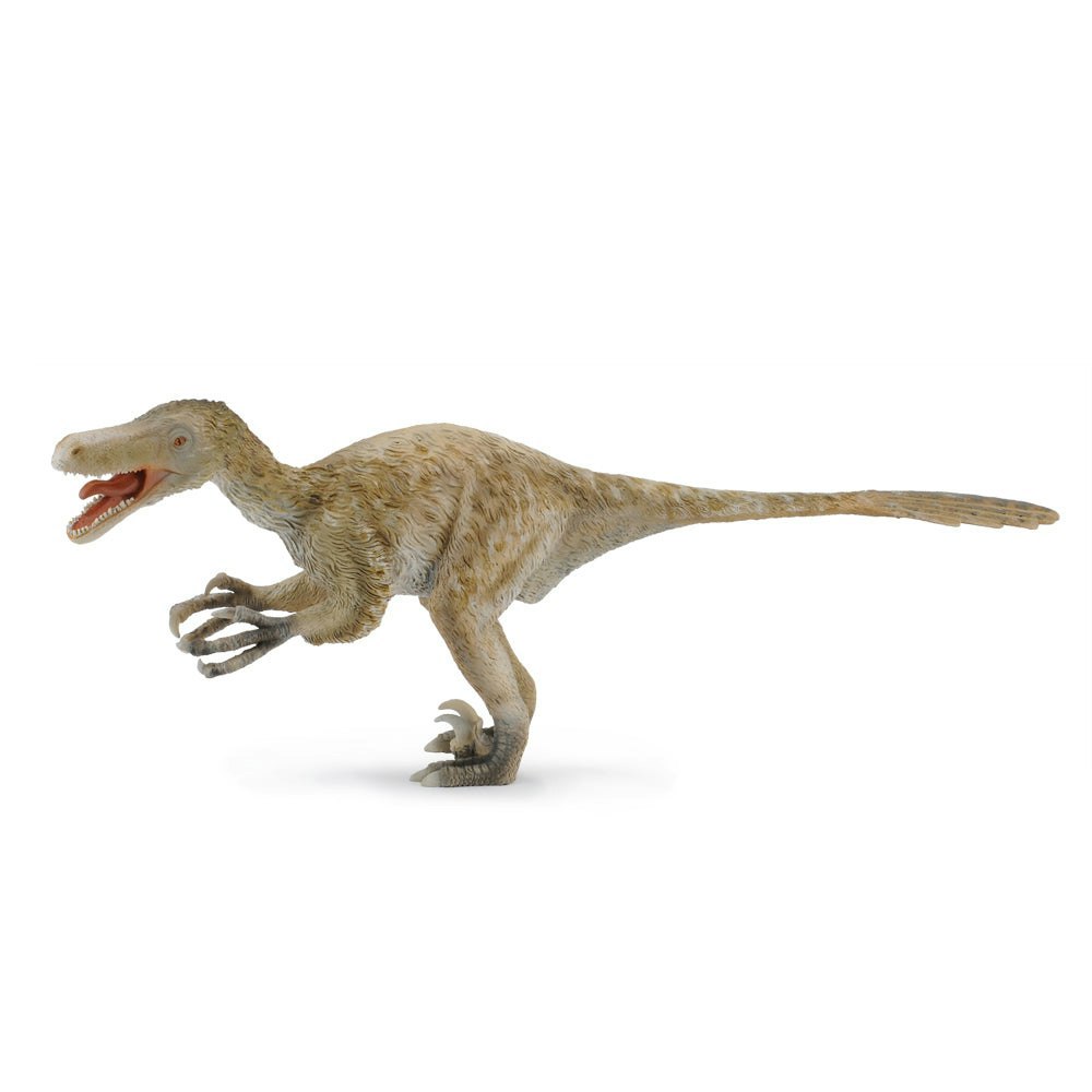 CollectA Velociraptor Dinosaur Toy - Hand-Painted And Designed By Experts