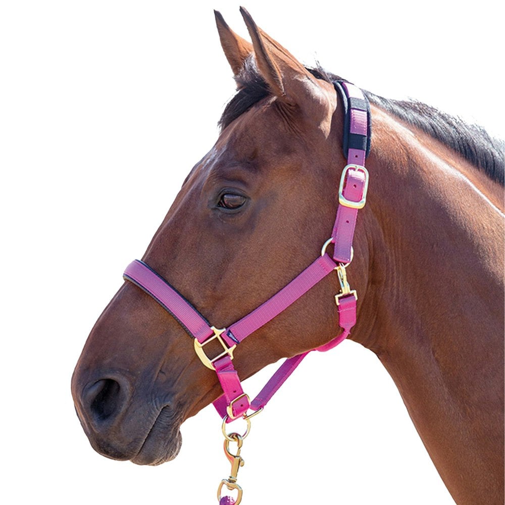 Shires Topaz Nylon Horse Headcollar - Raspberry