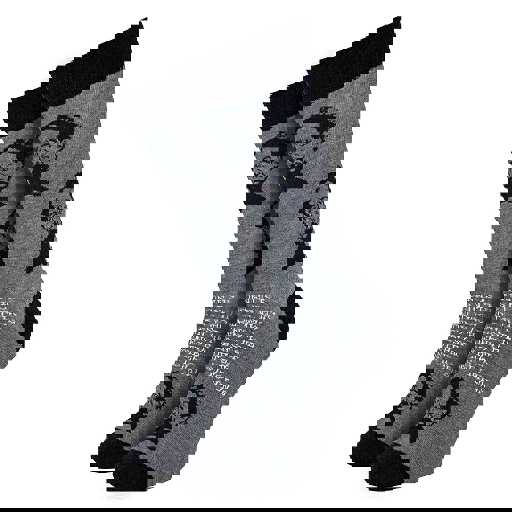 t4option1_0