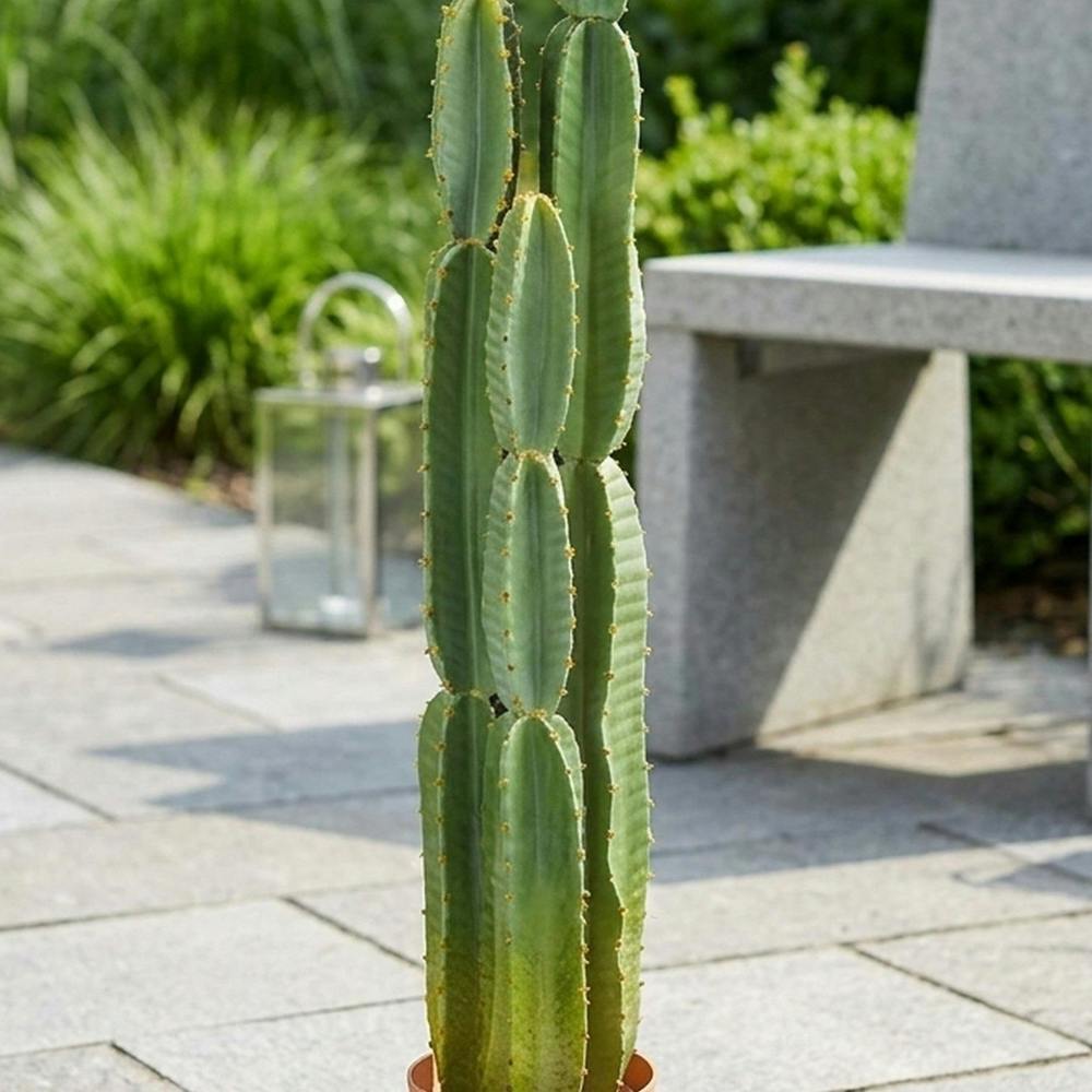 Garden Greatness Artificial Potted Cereus Garden Cactus