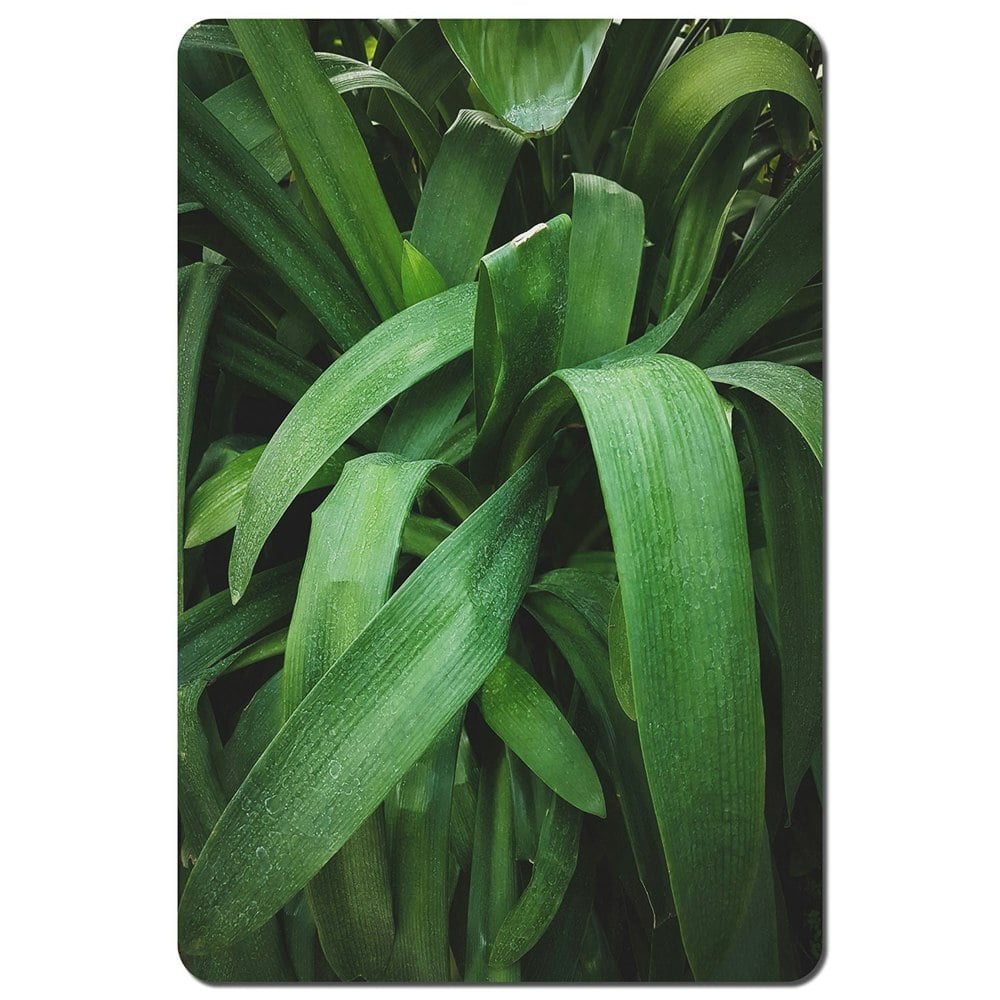 Benjamin Tate Design Tropical leaves closeup, Greenhouse, Atmospheric background, Selective focus (Placemat)