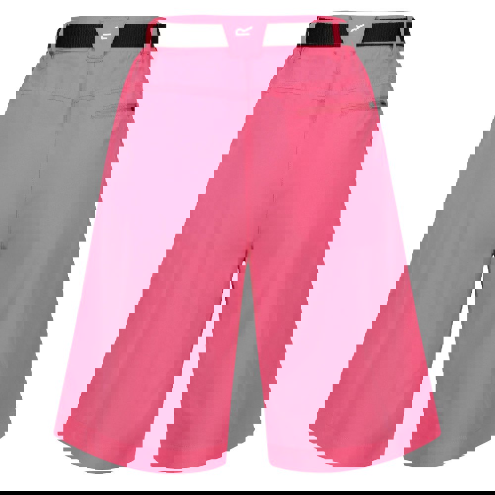 Regatta Womens/Ladies Xert Stretch Shorts - Fruit Dove