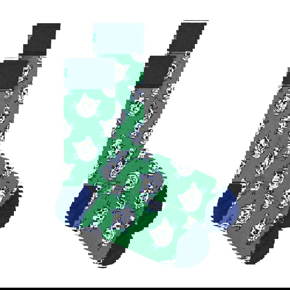 t4option1_0