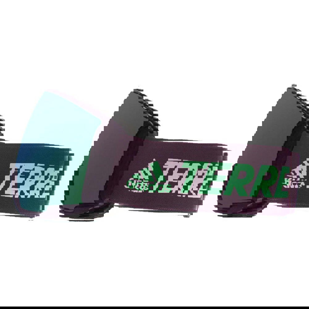 Adidas Ski Goggles Terrex Sport SP0039 92Q Black Blue Green