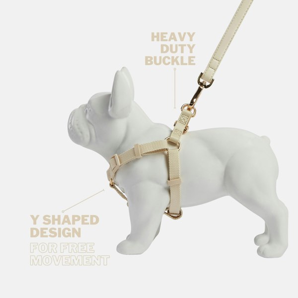 Light Ivory Y Shaped Dog Harness with Heavy Duty Gold Buckle and Off White Vegan Leather Back Straps 