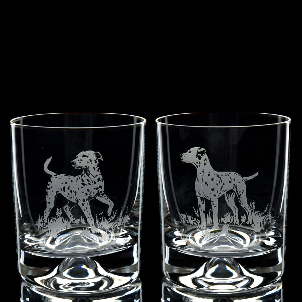 Glyptic Glass Art Dalmatian Dog Whiskey Tumbler Glass - Hand Etched/Engraved Gift