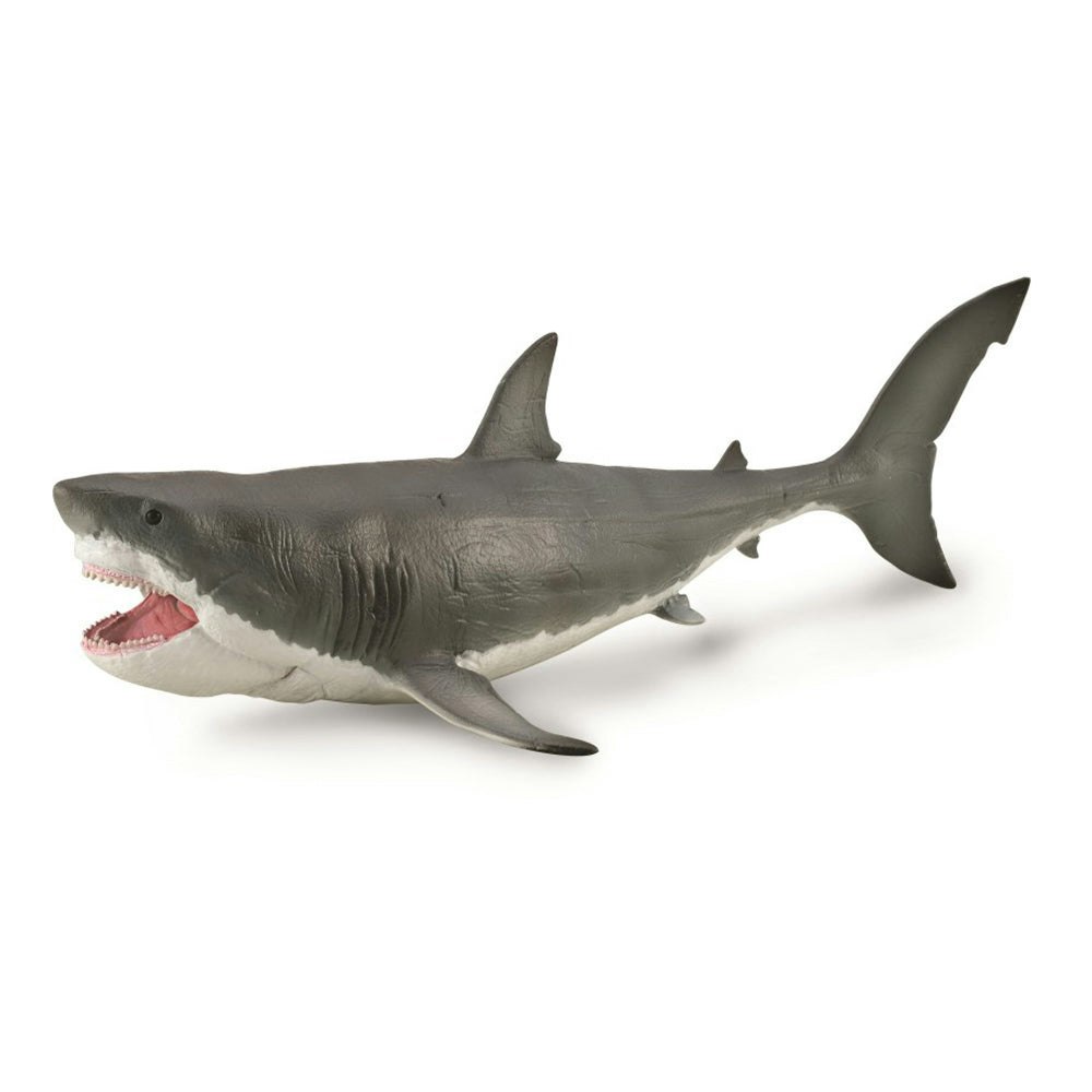 CollectA Megalodon Dinosaur with Movable Jaw - Hand-Painted And Designed By Experts