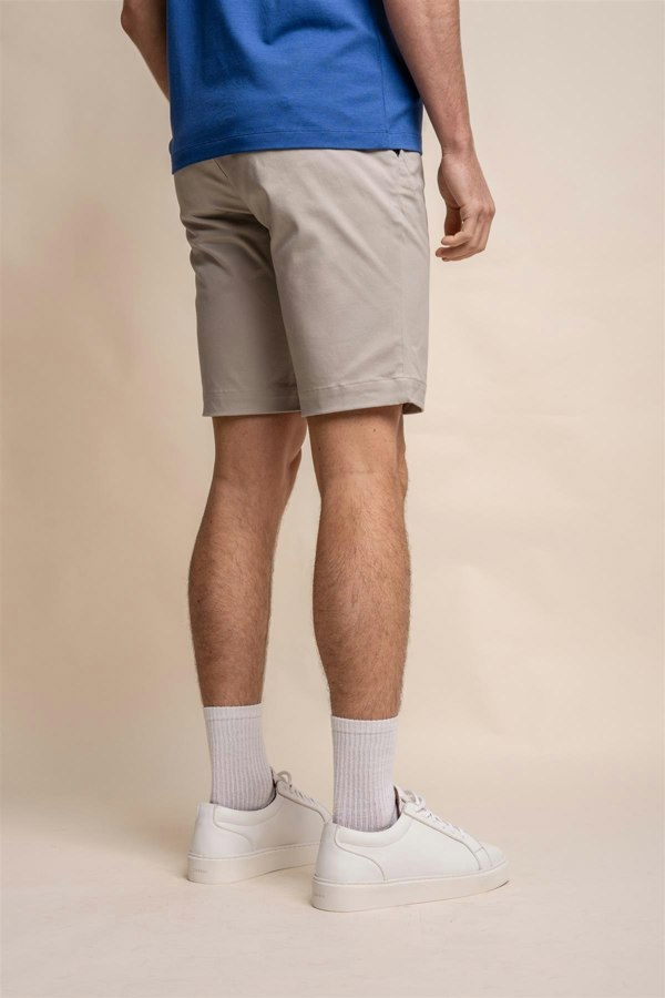 Dakota slate chino shorts back