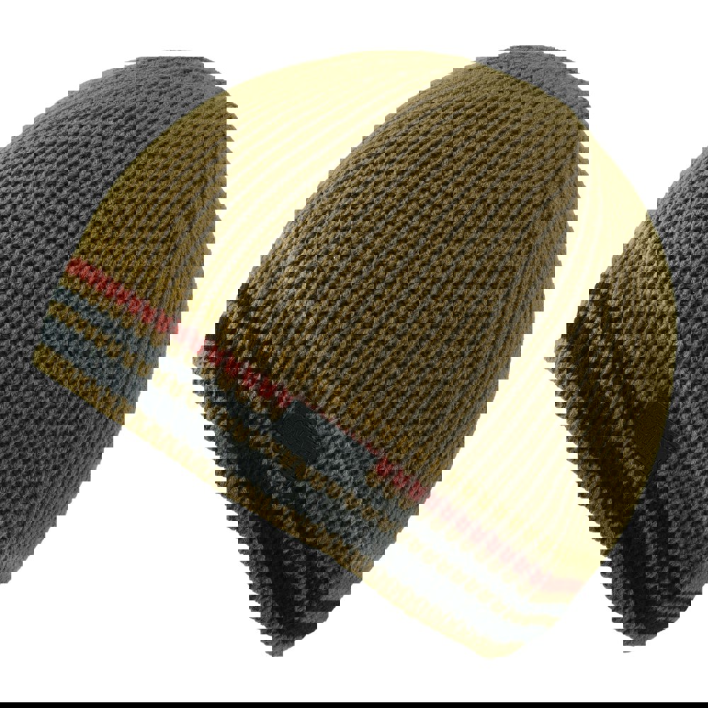 Regatta Mens Balton IV Striped Beanie - Umber
