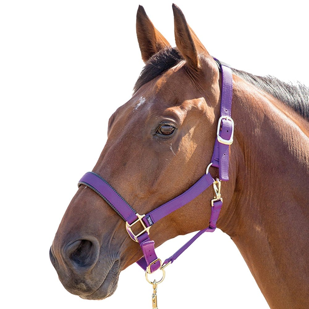 Shires Topaz Nylon Horse Headcollar - Purple