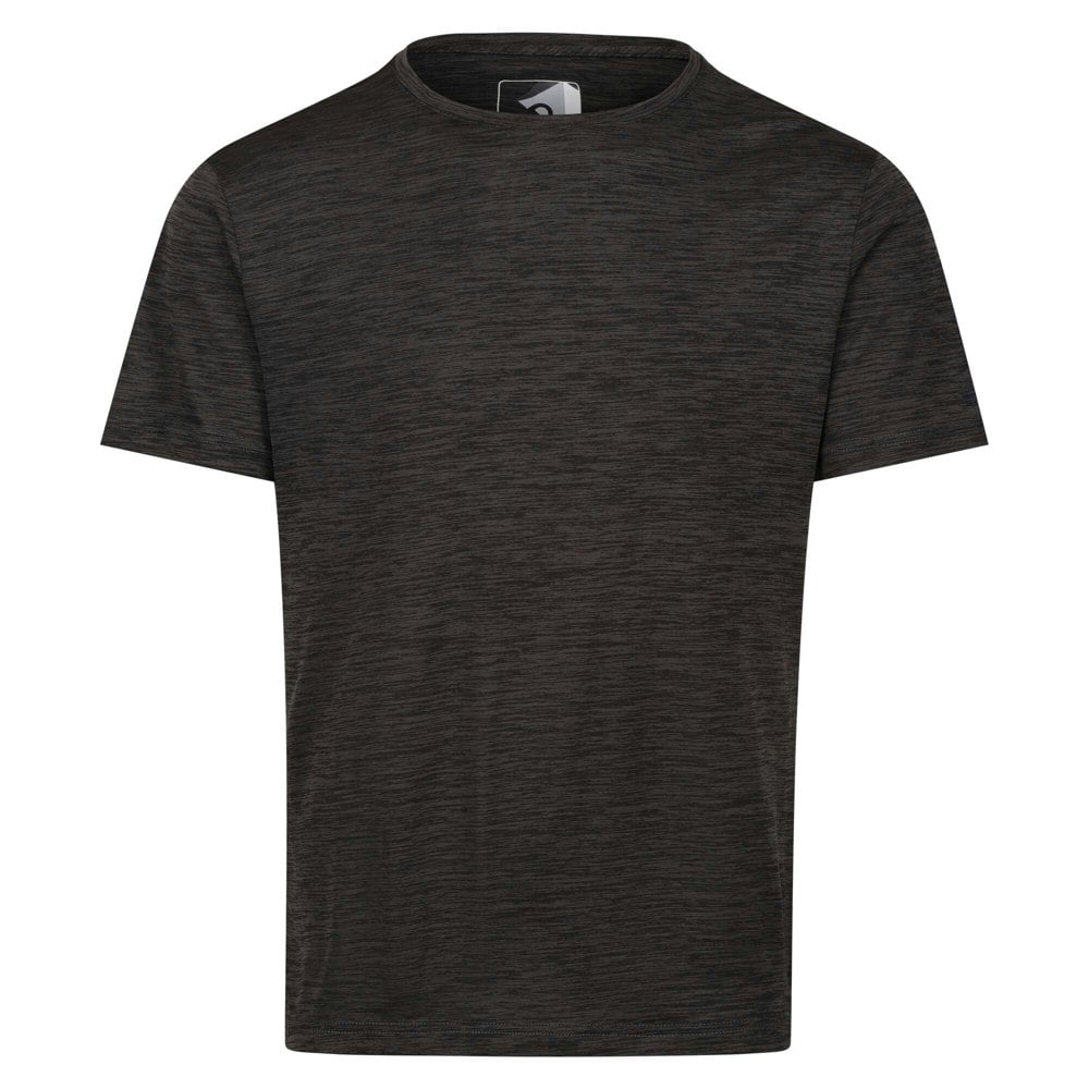 Regatta Mens Fingal Edition T-Shirt - Ash Marl
