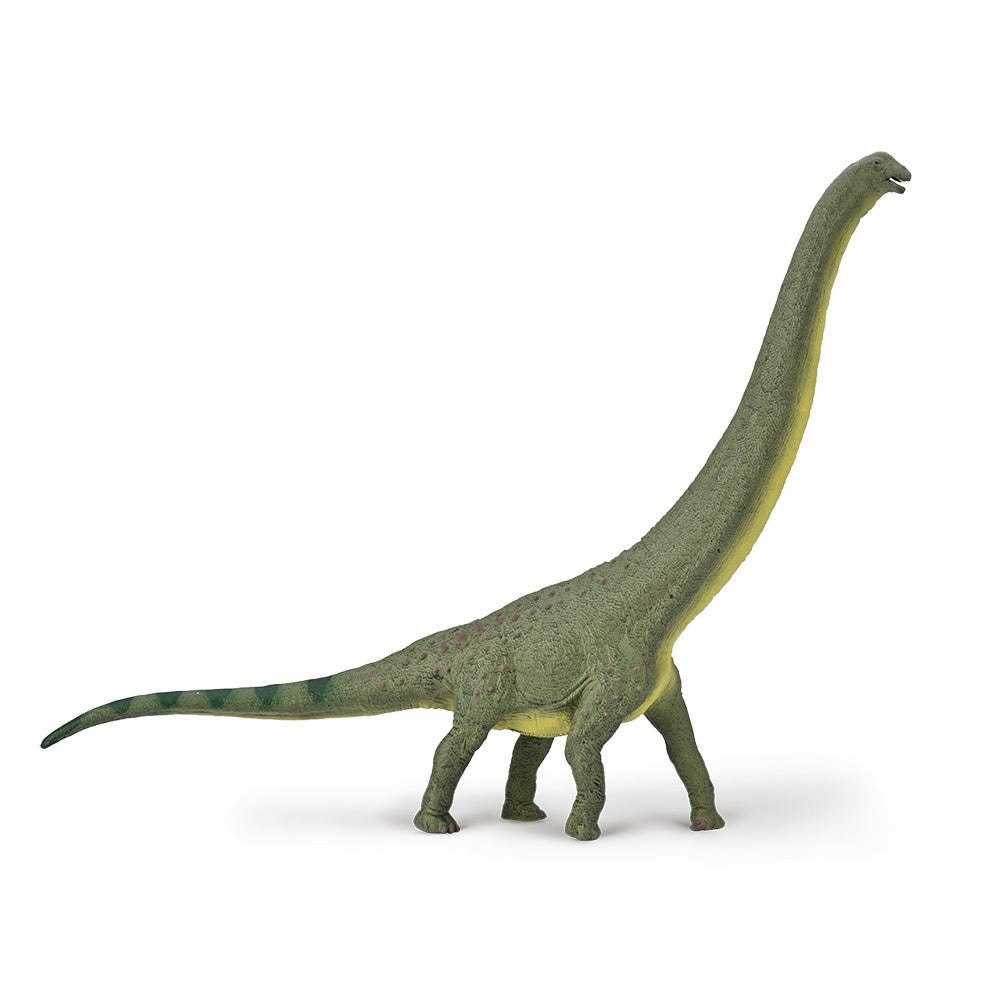 CollectA Dreadnoughtus (Deluxe 1:100 Scale) - Hand-Painted And Designed By Experts