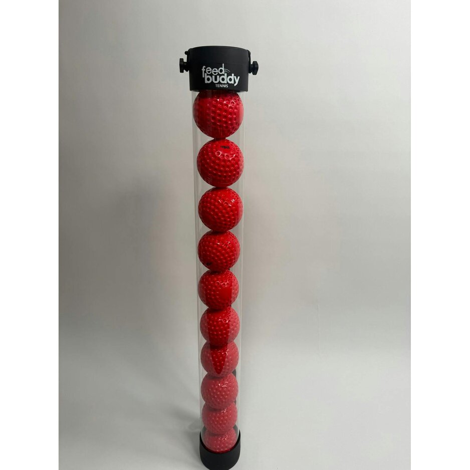 Feed Buddy Cricket Balls (6 in pack)