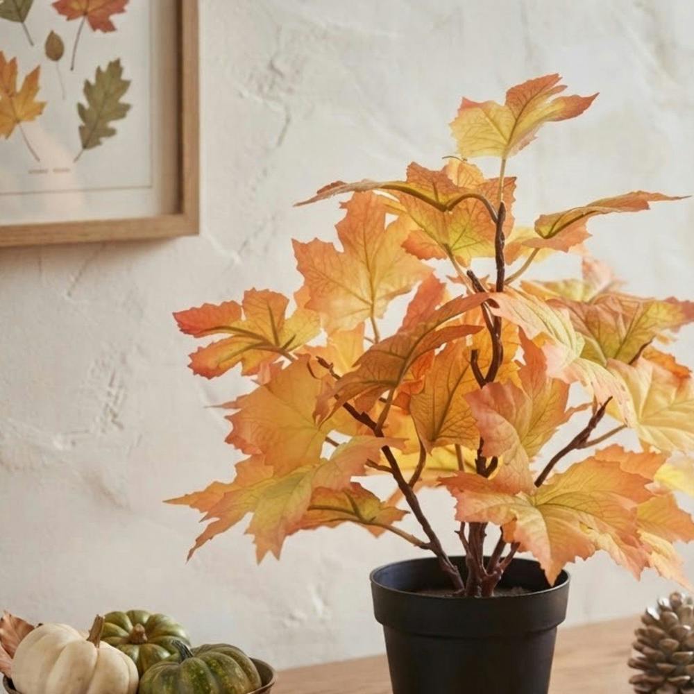 Garden Greatness Compact Autumn Leaf Potted Plant