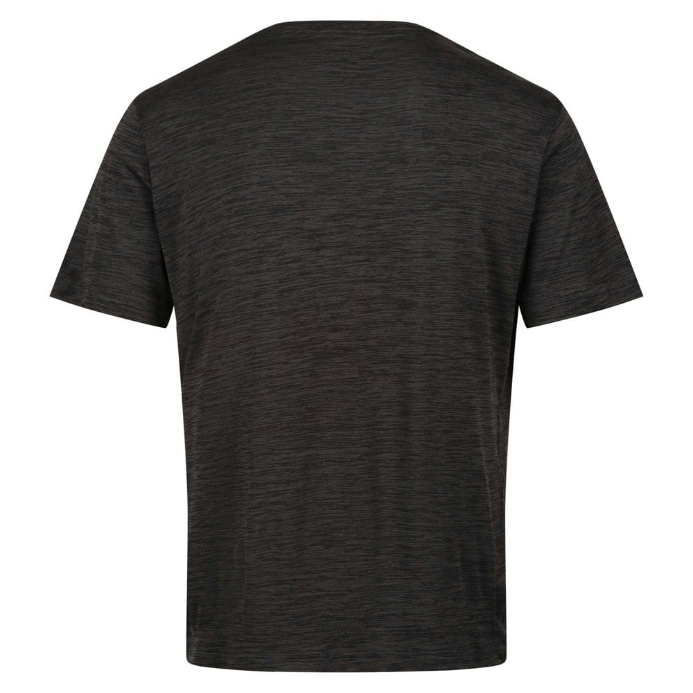 Regatta Mens Fingal Edition T-Shirt - Ash Marl