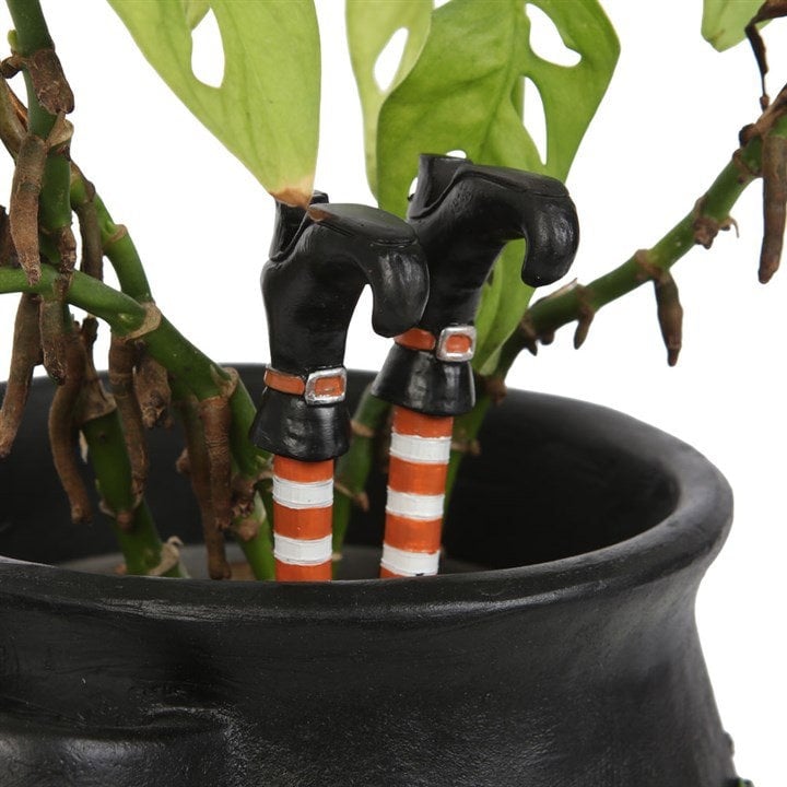 Serano Set of 2 Witch Leg Plant Pot Ornaments