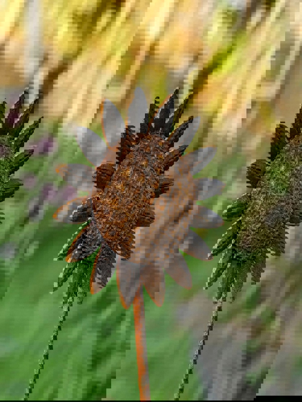 Savage Works Sunflower Stake