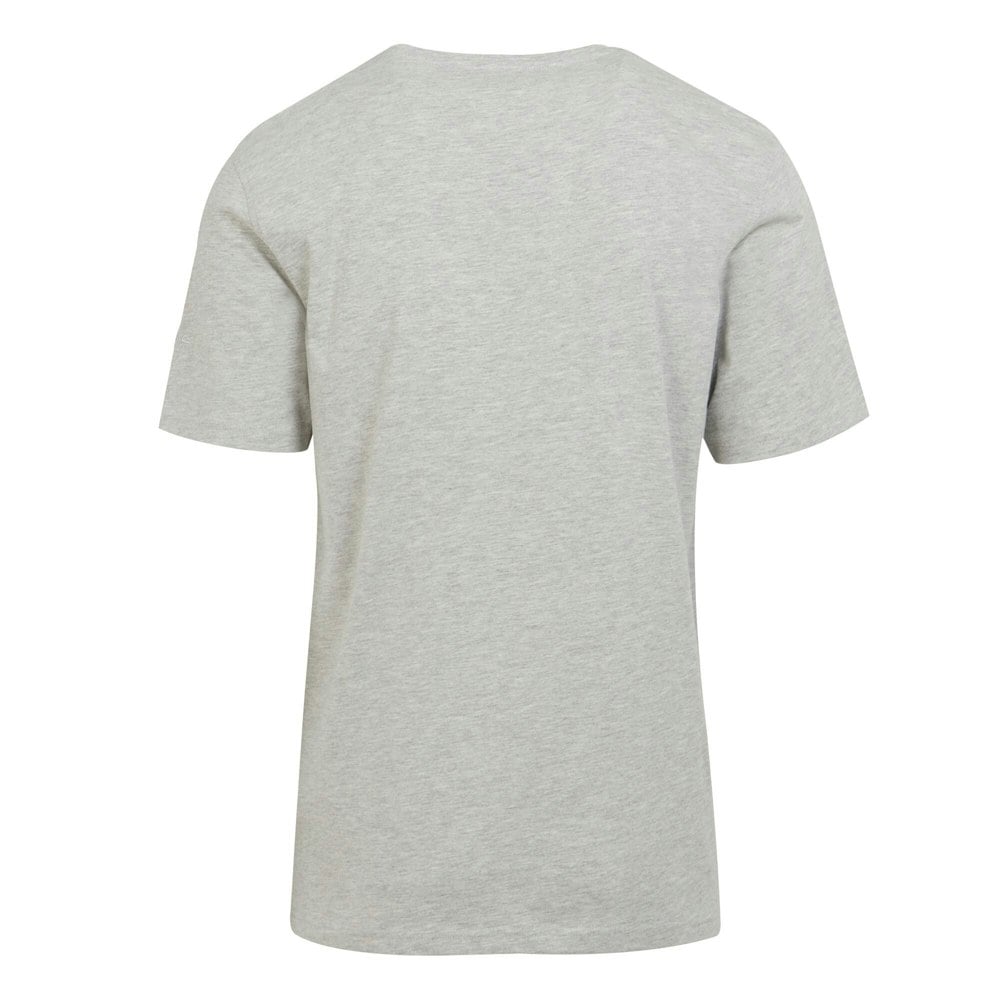Regatta Mens Cline VIII Sunset Marl T-Shirt - Silver Grey