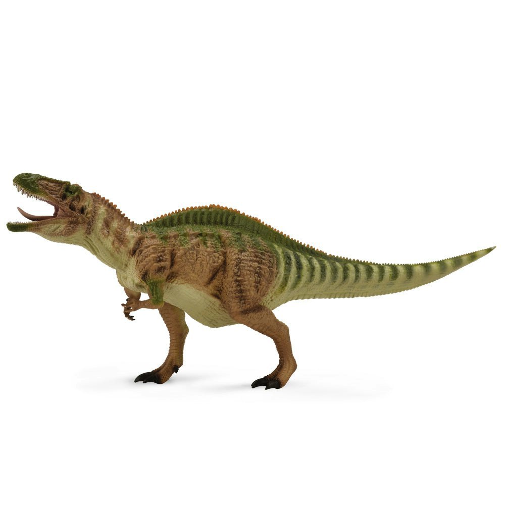 CollectA Acrocanthosaurus Dinosaur Toy with Movable Jaw, Hand-Painted