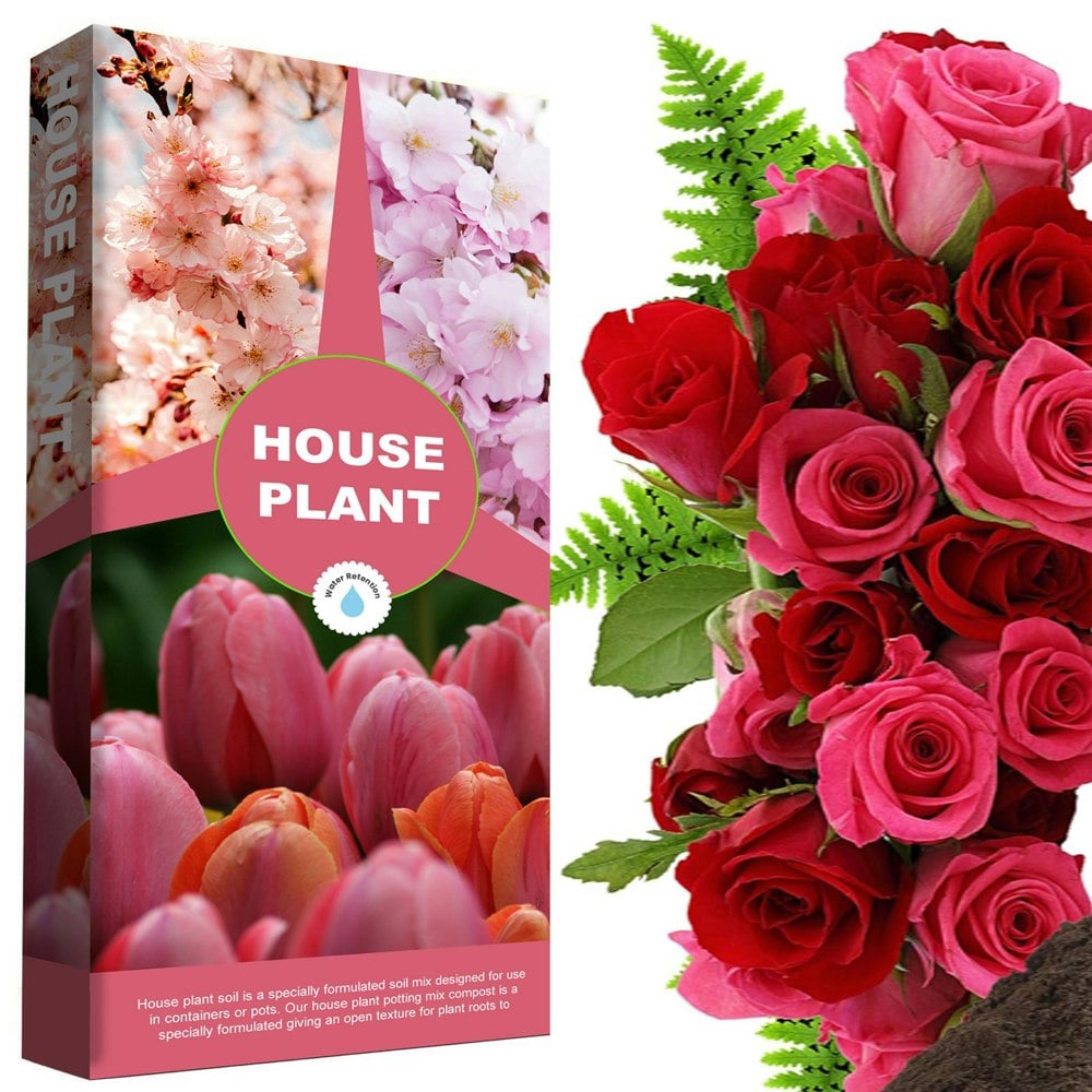 House Plant Compost 10 Litres Ideal For House Plants With Added Nutrients For Healthy Leaves & Plants