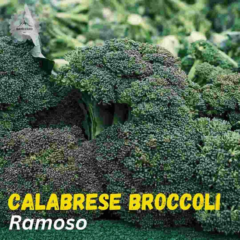 Calabrese Broccoli Seeds