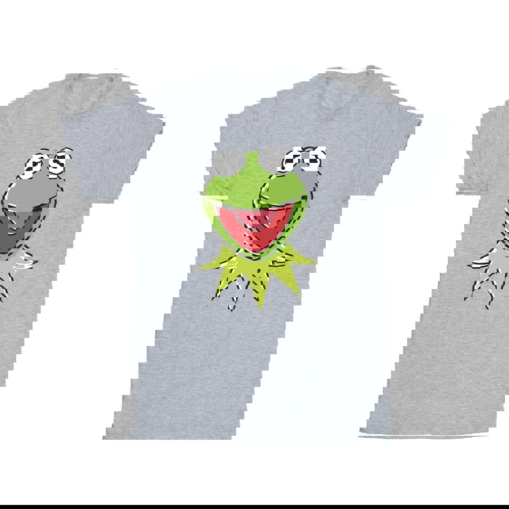 Disney Boys Muppets Kermit Head T-Shirt - Sports Grey