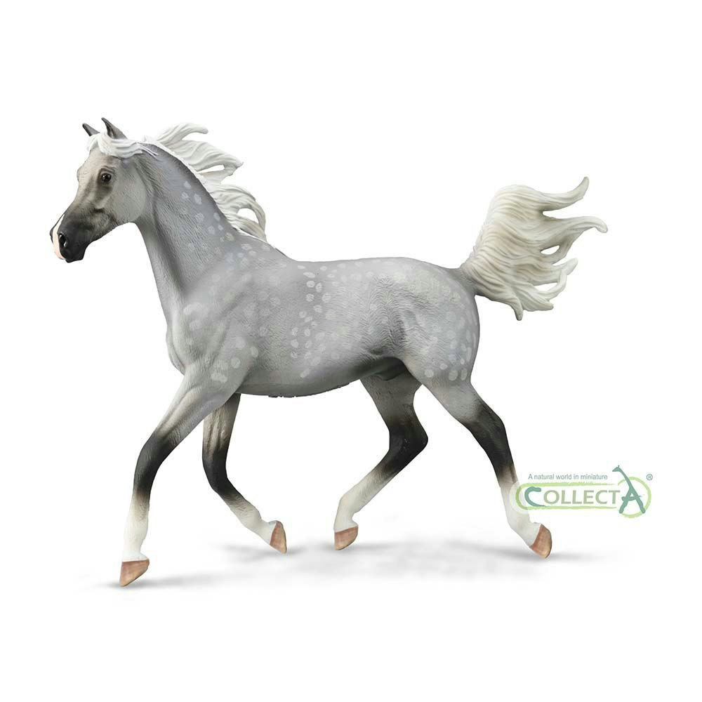 CollectA Half Arabian Stallion Dappled Grey Horse Toy - Hand-Painted