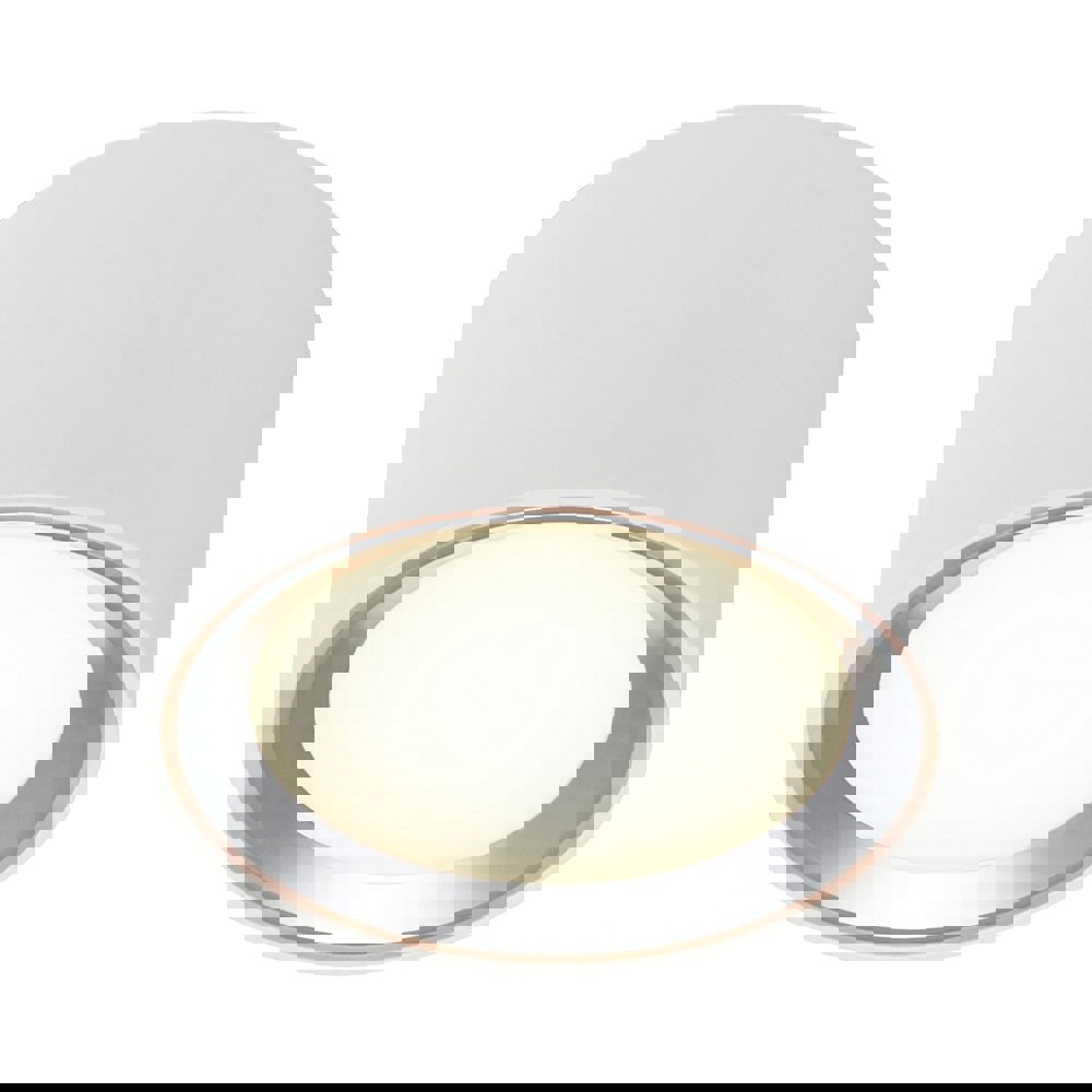 Nordlux Fallon | Surface downlight | White/Steel