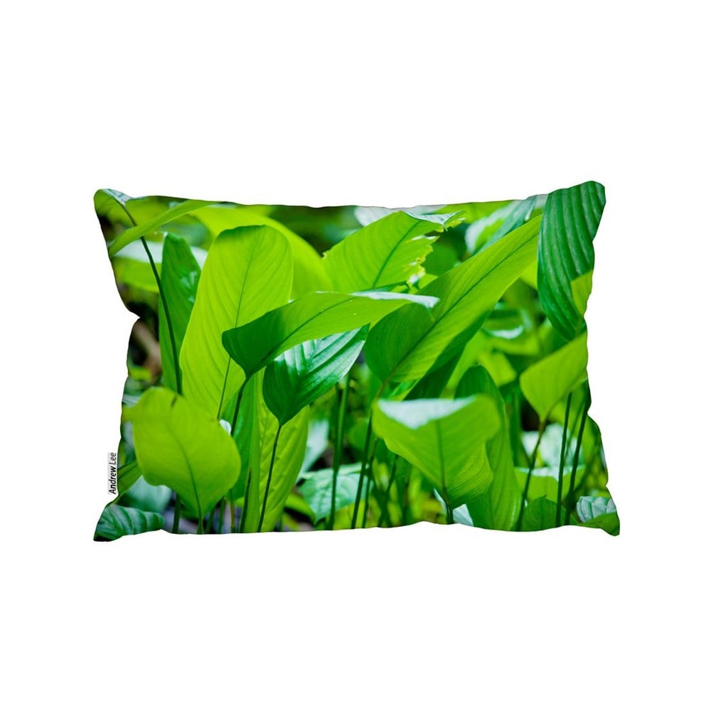 Benjamin Tate Design Green Leaf Background Abstract Of Nature (Outdoor Cushion)