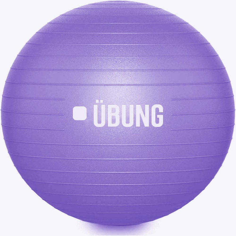 UBUNG Anti Burst Exercise Fitness Ball 65cm Swiss Ball with Pump Non Slip Light Purple