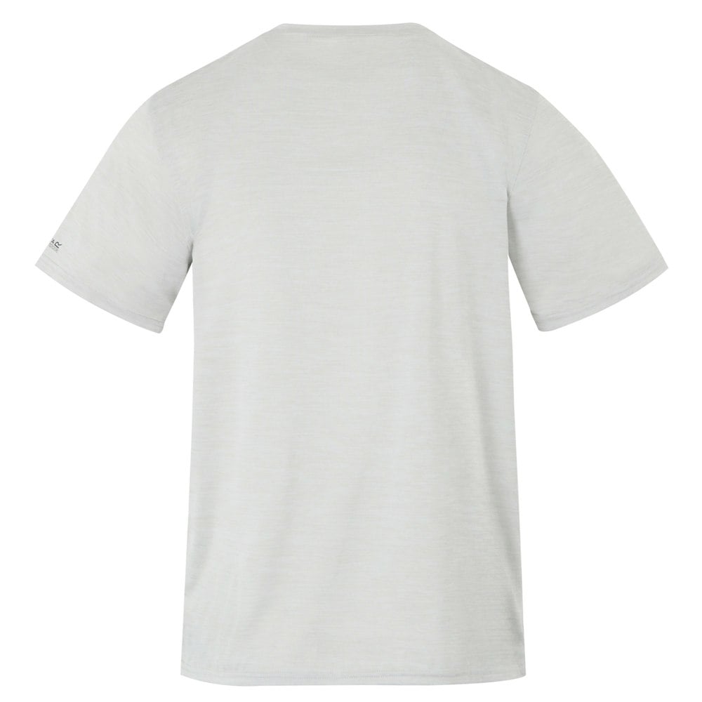 Regatta Mens Fingal IX Mountain Scene Marl T-Shirt - Iceberg Marl