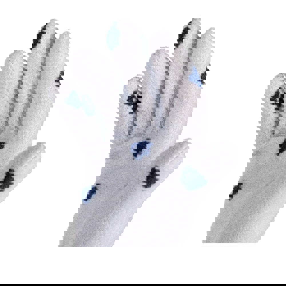Trespass Childrens/Kids Zumee Gloves - Platinum