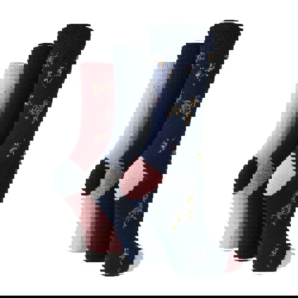 t4option1_0