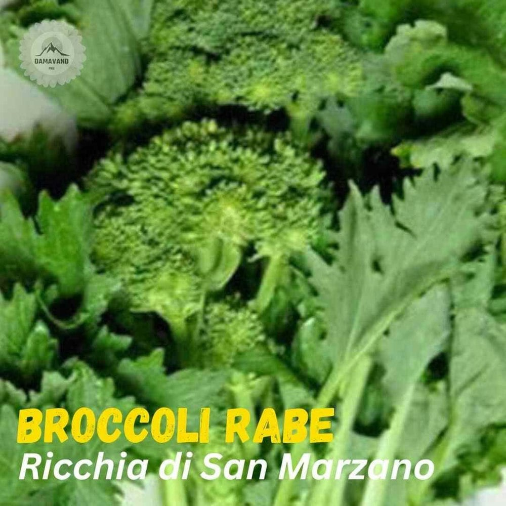 Broccoli San Marzano Seeds