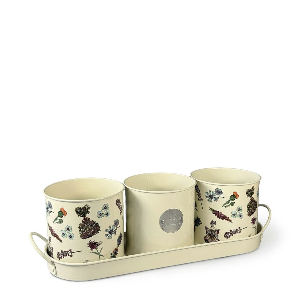 Charlotte Posner 'Scatter' Design Set of 3 Metal Planters with Matching Tray