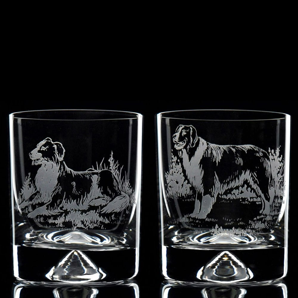 Glyptic Glass Art Border Collie Dog Whiskey Tumbler Glass - Hand Etched/Engraved Gift