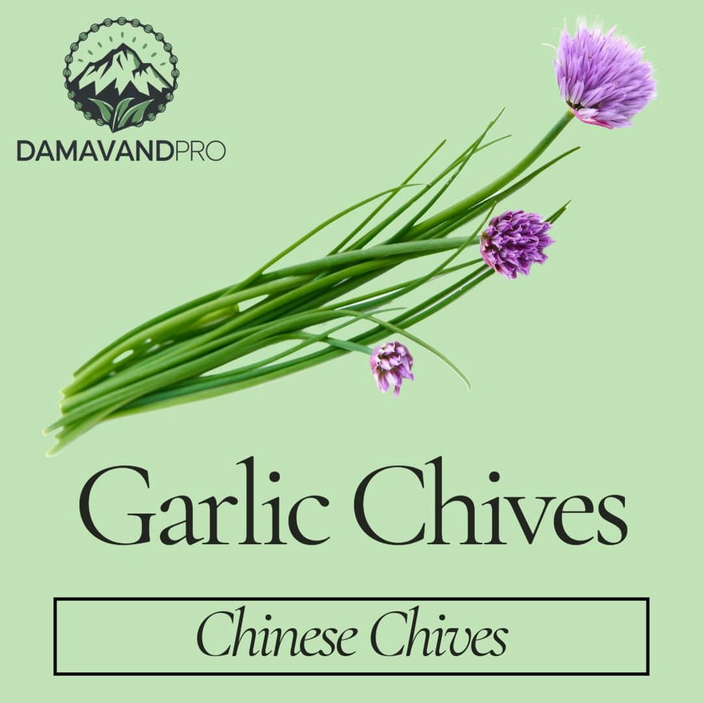 Garlic Chives Seeds