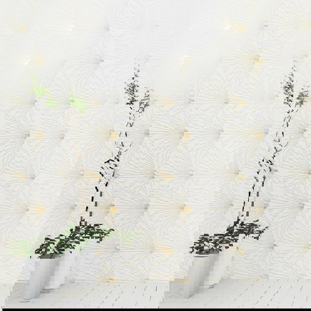 Fan gold and white wallpaper