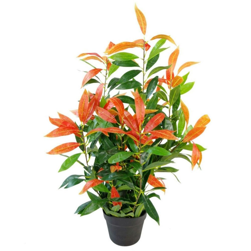 Leaf 80cm Leaf Realistic Red Robin Artificial Ficus Tree / Plant