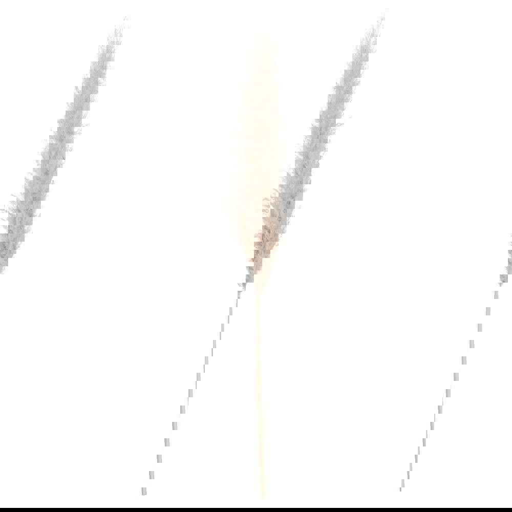 Hill Interiors Artificial Single Stem Pampas Grass - Cream